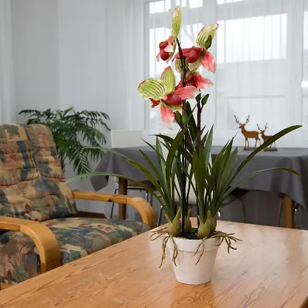 Appartement Ferienwohnung Crapera *
